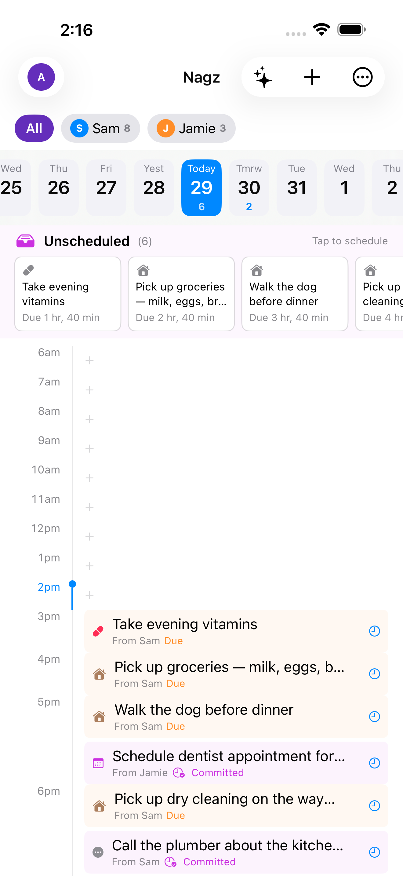 Day planner with hourly schedule view